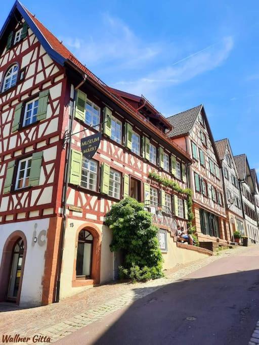 Ferienwohnung Schwarzwaldblick Bad Rippoldsau-Schapbach Extérieur photo