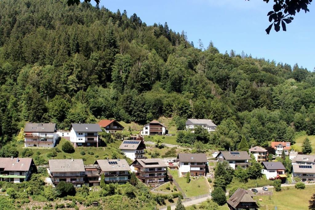 Ferienwohnung Schwarzwaldblick Bad Rippoldsau-Schapbach Extérieur photo