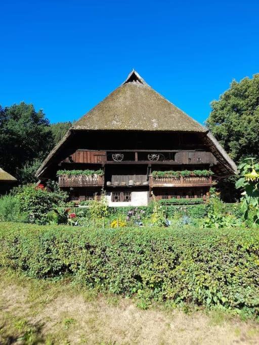 Ferienwohnung Schwarzwaldblick Bad Rippoldsau-Schapbach Extérieur photo