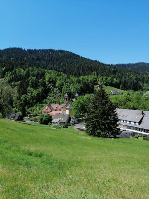 Ferienwohnung Schwarzwaldblick Bad Rippoldsau-Schapbach Extérieur photo