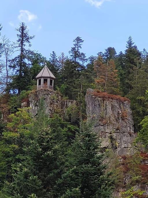 Ferienwohnung Schwarzwaldblick Bad Rippoldsau-Schapbach Extérieur photo