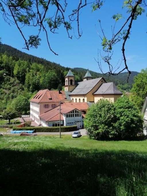 Ferienwohnung Schwarzwaldblick Bad Rippoldsau-Schapbach Extérieur photo