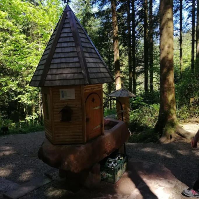 Ferienwohnung Schwarzwaldblick Bad Rippoldsau-Schapbach Extérieur photo