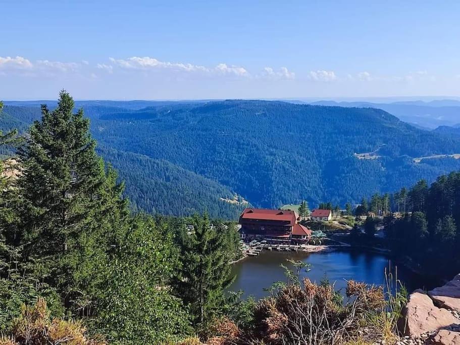Ferienwohnung Schwarzwaldblick Bad Rippoldsau-Schapbach Extérieur photo
