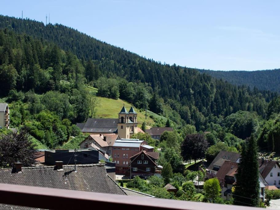 Ferienwohnung Schwarzwaldblick Bad Rippoldsau-Schapbach Extérieur photo