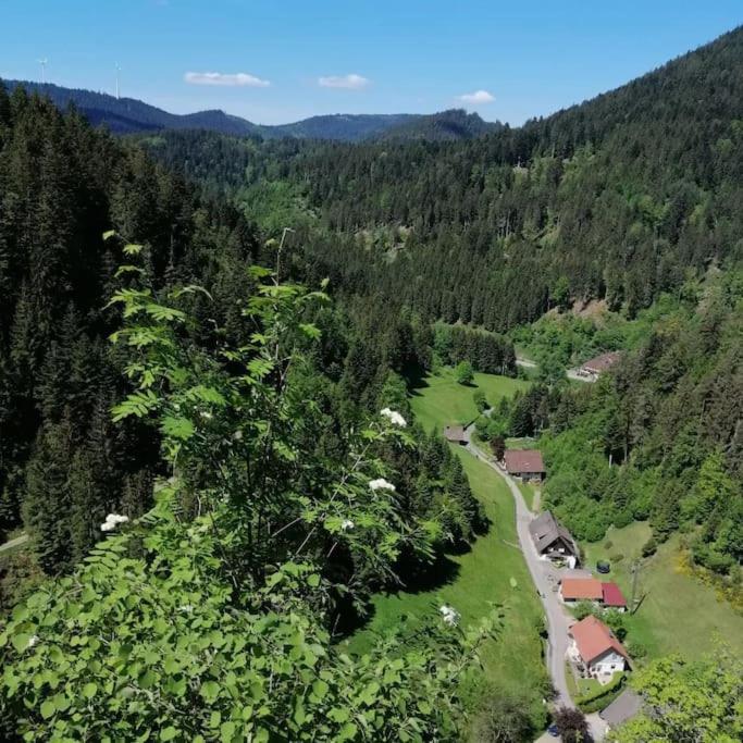 Ferienwohnung Schwarzwaldblick Bad Rippoldsau-Schapbach Extérieur photo