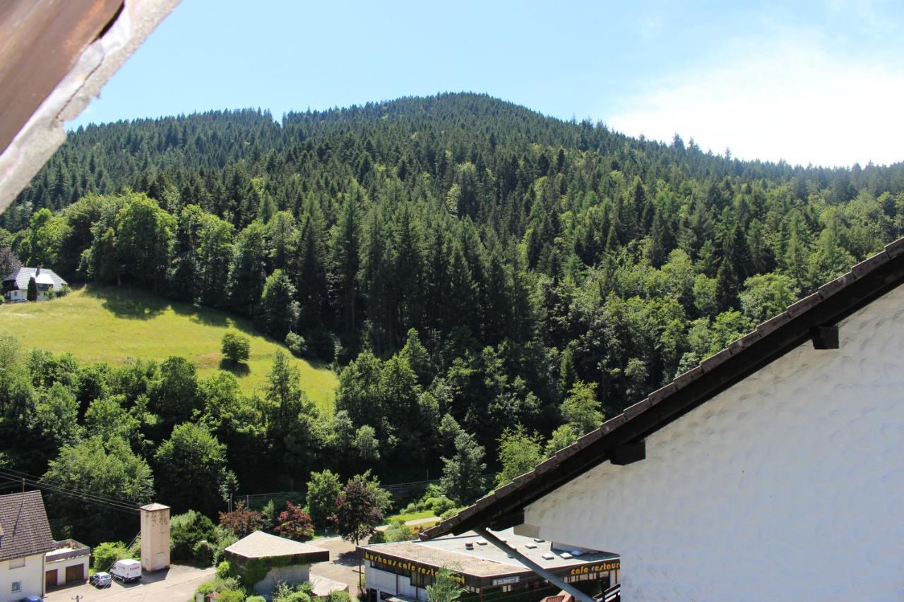 Ferienwohnung Schwarzwaldblick Bad Rippoldsau-Schapbach Extérieur photo