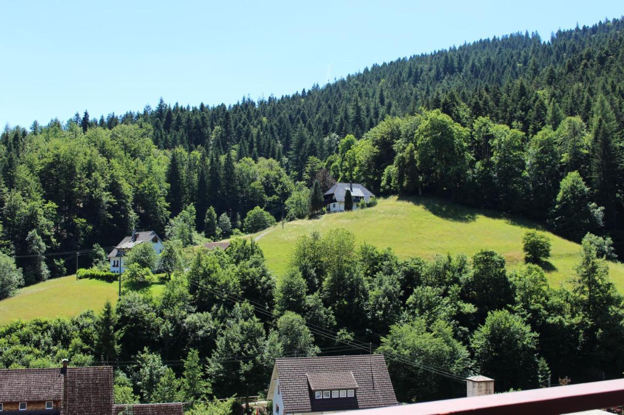 Ferienwohnung Schwarzwaldblick Bad Rippoldsau-Schapbach Extérieur photo